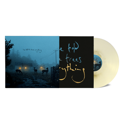DERMOT KENNEDY - I’VE TOLD THE TREES EVERYTHING MARBLE VINYL