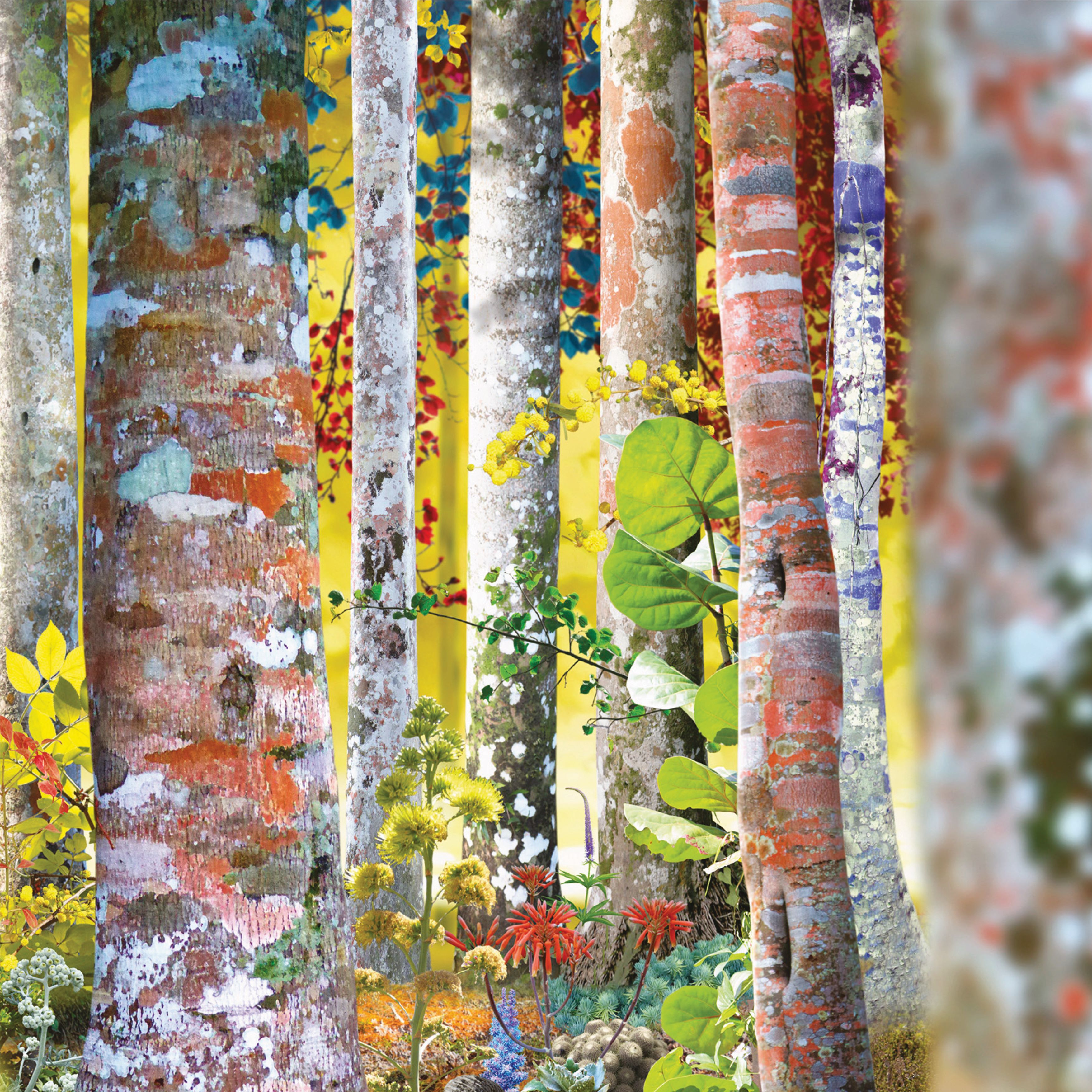 洋楽 Do You Know Me Now? (10CD) David Sylvian David Sylvian: Do You Know Me Now? 10CD Box