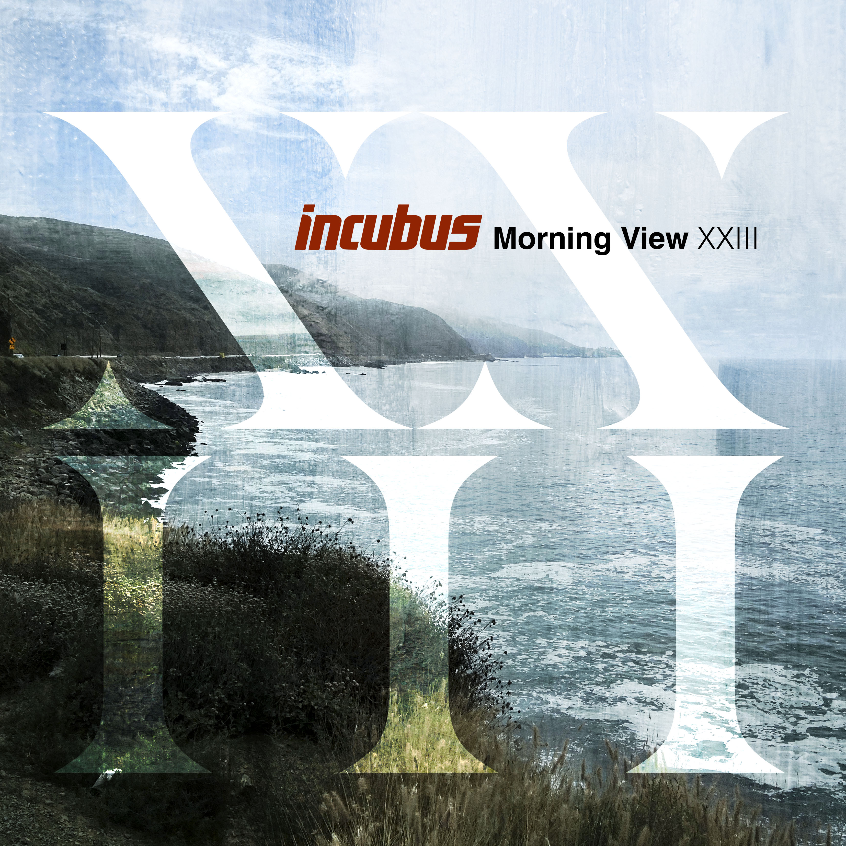 Incubus: Morning View Xxiii 2LP 180G Blue Color Vinyl