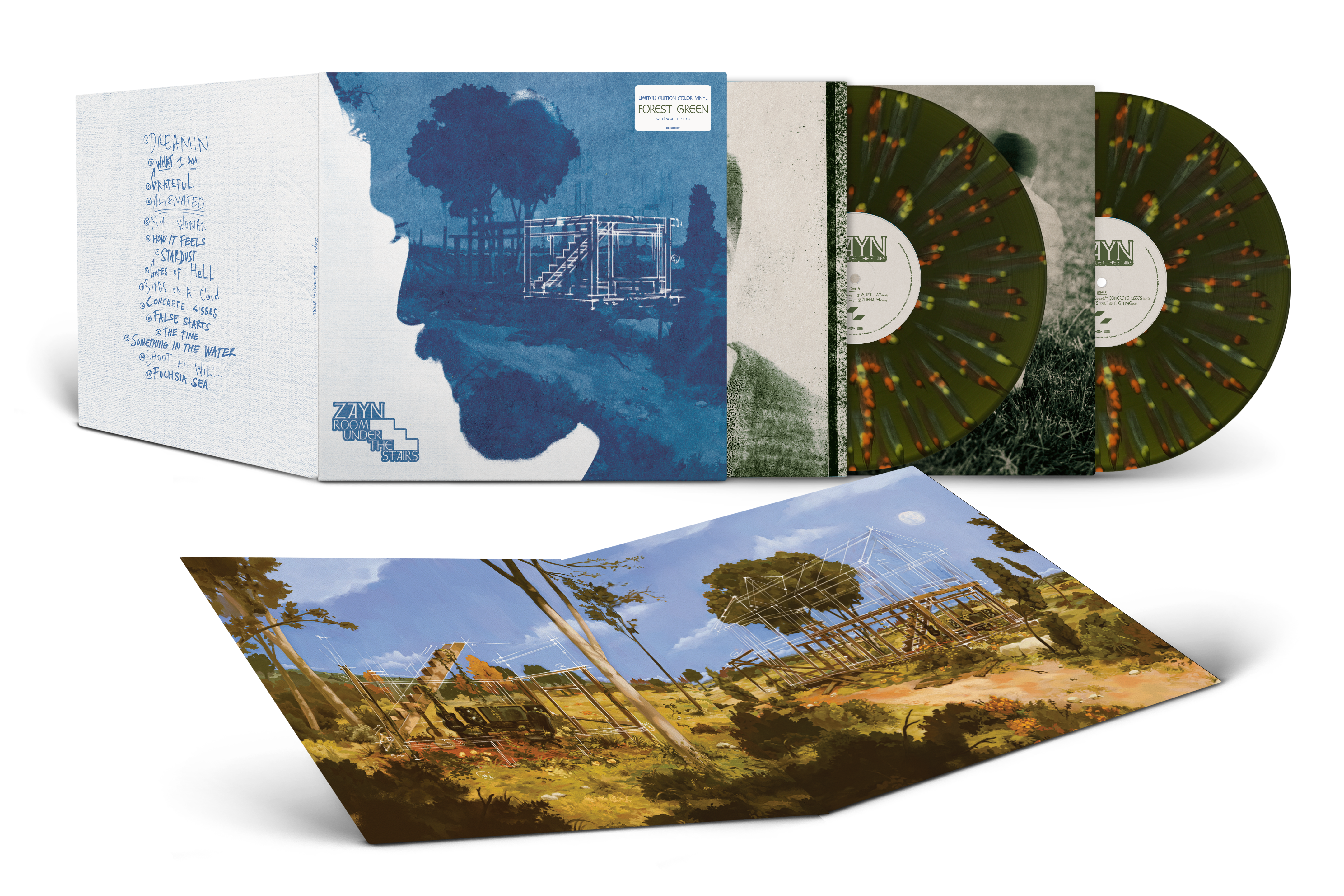 ゼイン Room Under The Stairs 2LP サイン入 Zayn Zayn: Room Under The Stairs 2LP Standard Vinyl